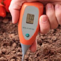 How to test your soil