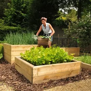 wooden raised beds