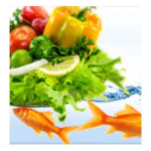 aquaponics 4 you