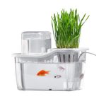 small aquaponics kit
