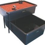 home aquaponics kit