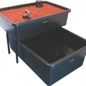 home aquaponics kit