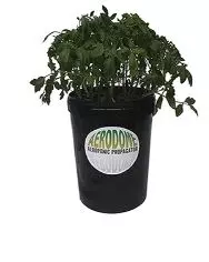 balcony hydroponic plants
