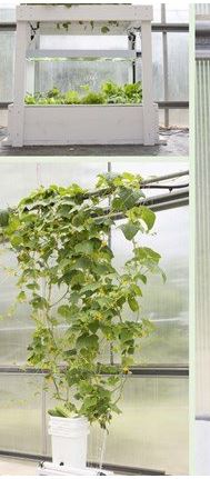 diy hydroponic examples