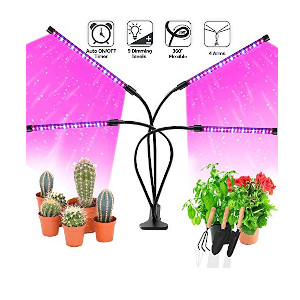 how to grow basil indoors using a standing grow light