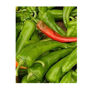 anaheim pepper