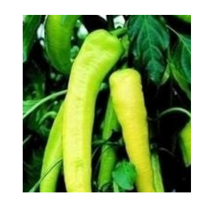 banana pepper