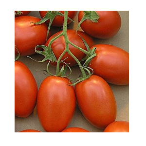 cherry grape tomato