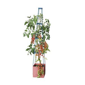 Freestanding Tomato support