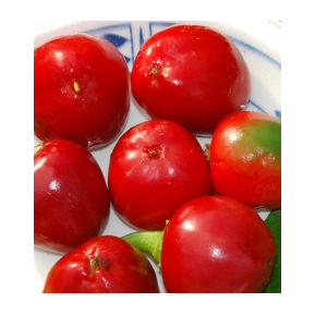 pimento pepper