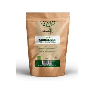 root coriander