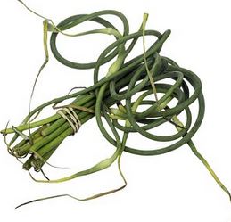 garlic scapes