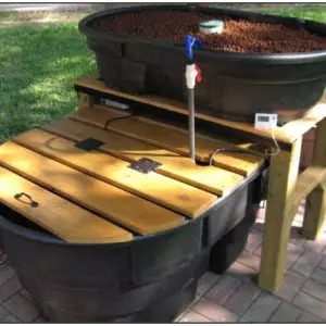 DIY aquaponics tank