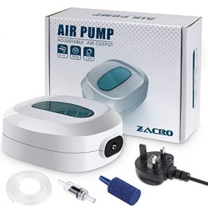 air pump