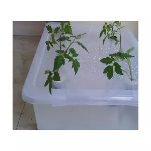DIY hydroponic kit