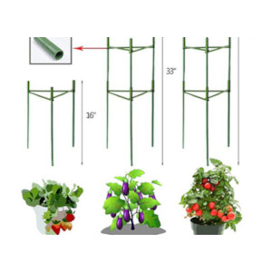 tomato support