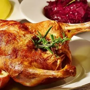 christmas duck