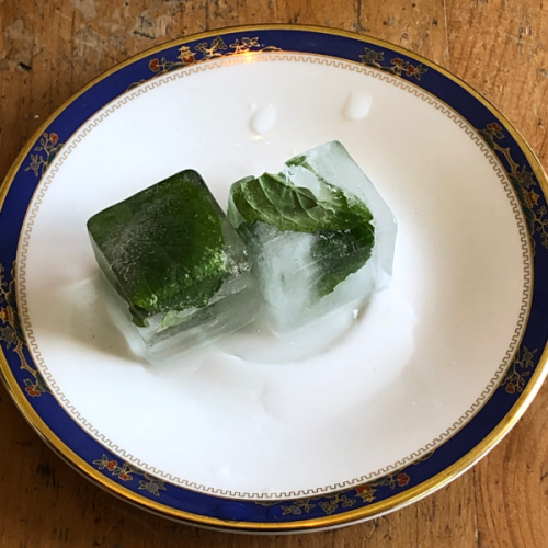 mint ice cubes