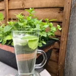 Fresh Spearmint Tea