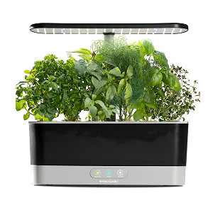 kitchen hydroponic kit