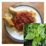 Minette basil recipes