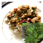 Thai basil recipes