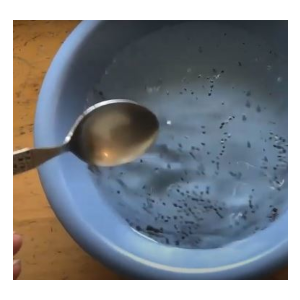seeds in water
