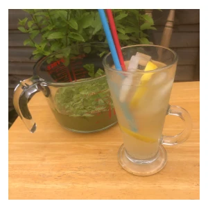 Ginger Mint Lemonade recipe