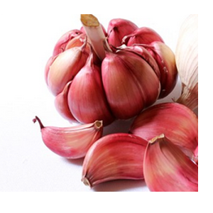 hardneck garlic