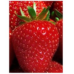 strawberries