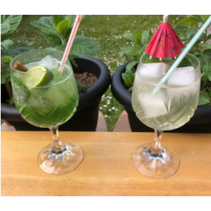 Easy Cuban apple mint mojito