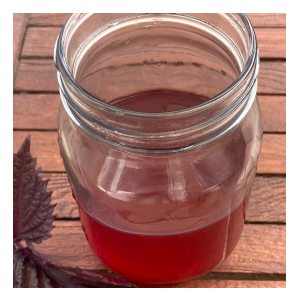 Japanese Basil (Shiso/Perilla) Juice