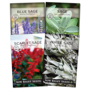 sage variety pack