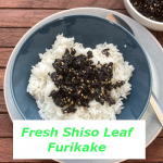 Fresh shiso leaf furikake